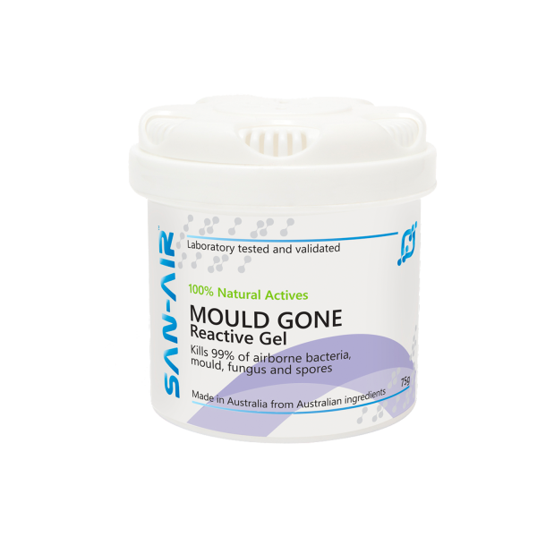 Mould Gone 1 600x600 1 1
