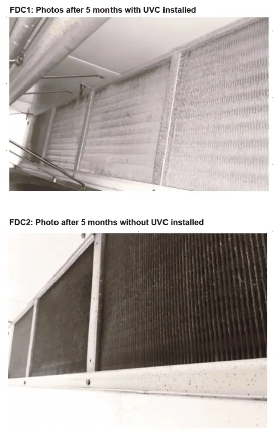 Screenshot 1 1 2026 151452 www.australianuv.com .au  1