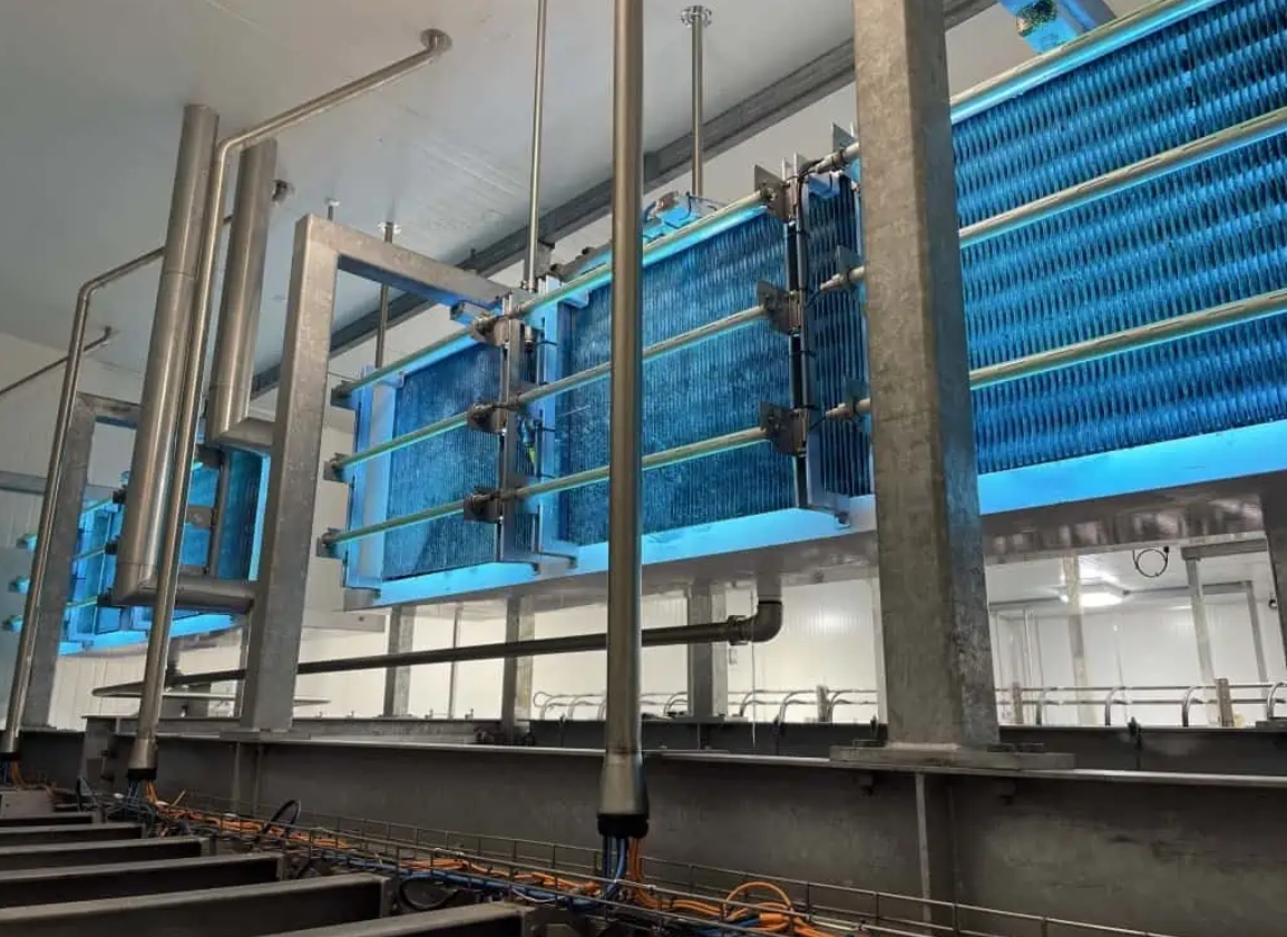 Screenshot 19 1 2026 102828 www.australianuv.com .au