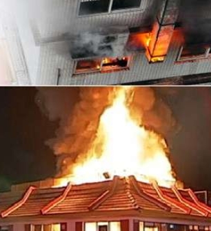 Screenshot 19 1 2026 203222 shepherdfilters.com