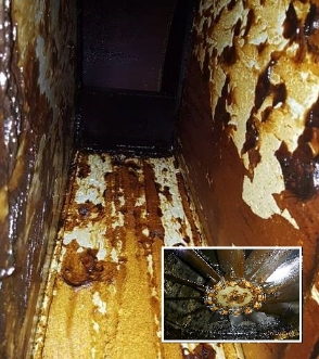 Screenshot 19 1 2026 203254 shepherdfilters.com