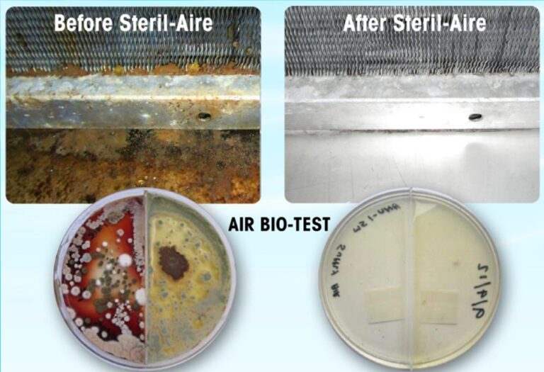 Screenshot 19 1 2026 93336 steril aire.com .au  768x525